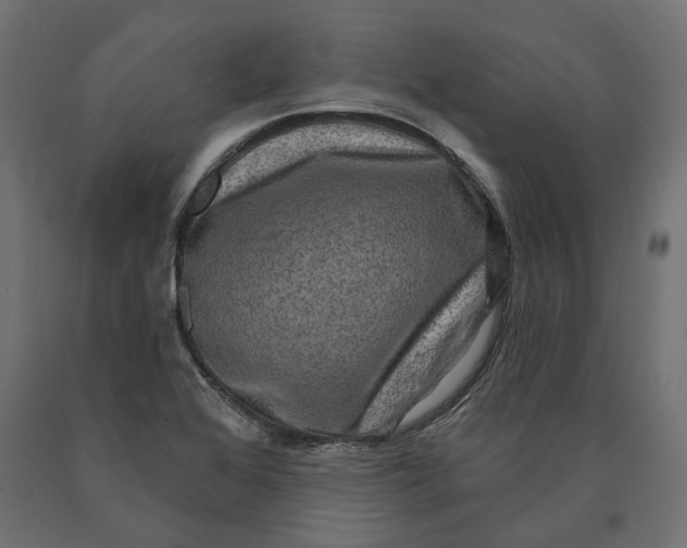 X0000090441368200708031143