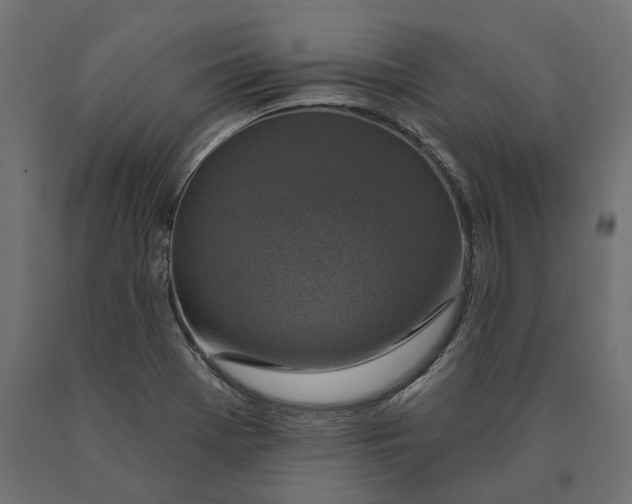 X0000090441369200708031143