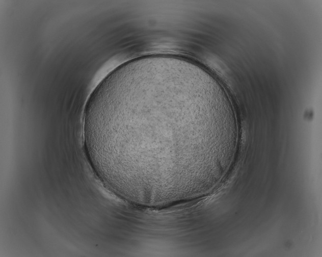 X0000090441370200708031143