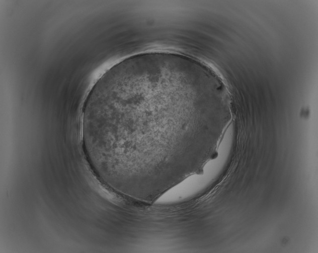 X0000090441371200708031143