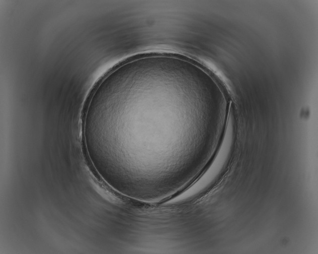 X0000090441372200708031143