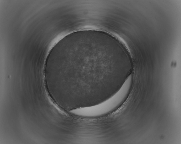 X0000090441373200708031143