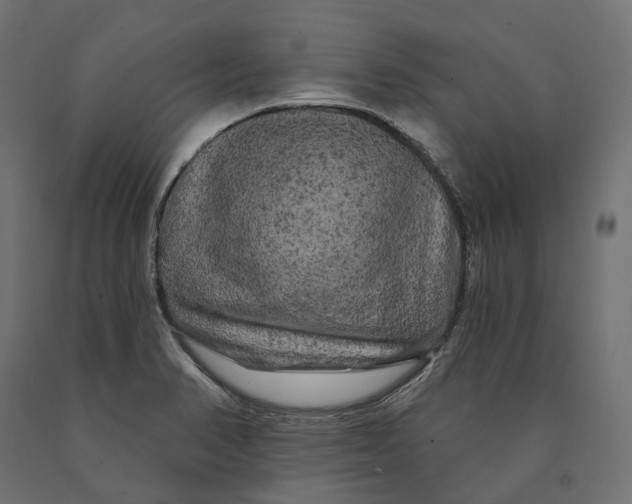 X0000090441374200708031143