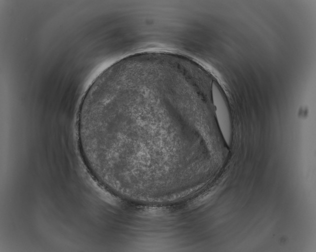 X0000090441375200708031143