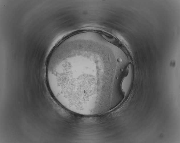 X0000090441376200708031143