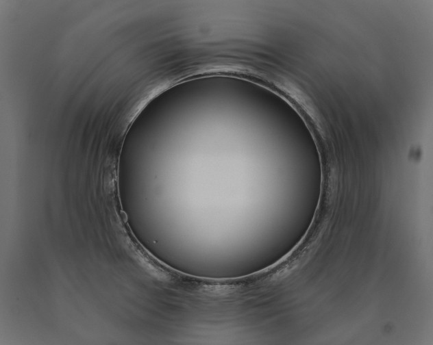 X0000090441377200708031143