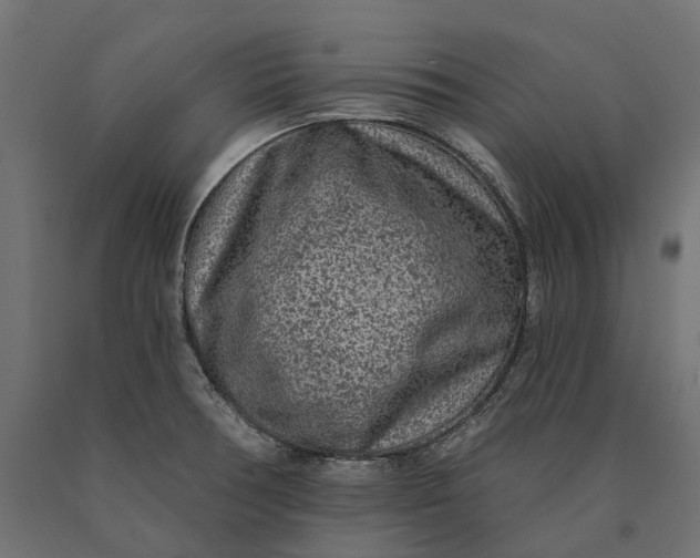 X0000090441378200708031143