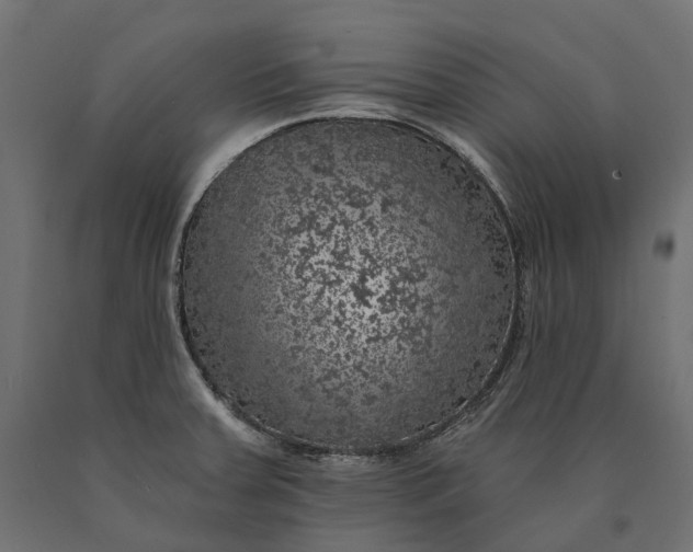 X0000090441379200708031143