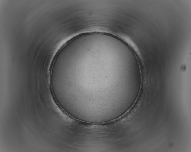 X0000090441380200708031143