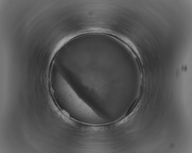 X0000090441381200708031143