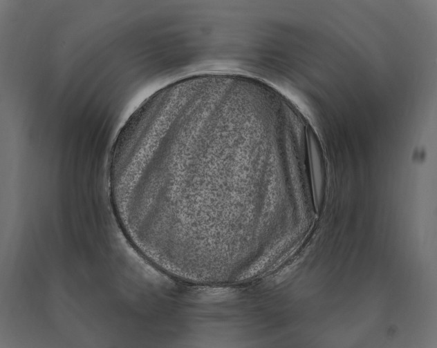 X0000090441382200708031143