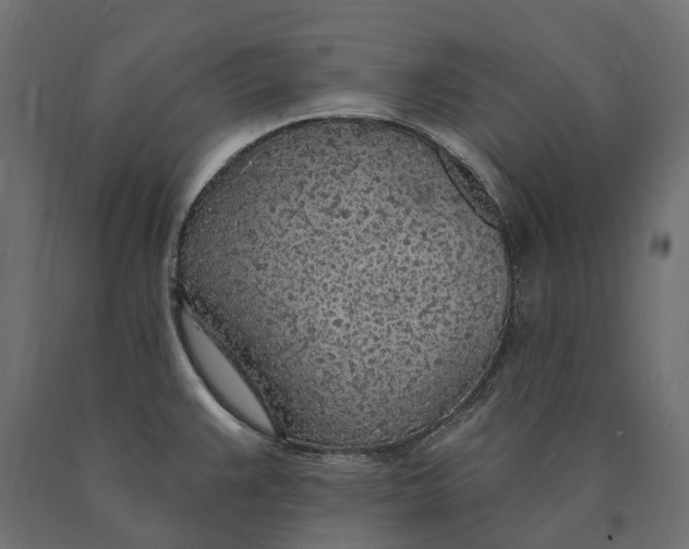 X0000090441383200708031143