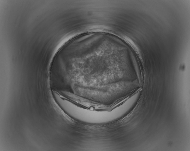 X0000090441384200708031143