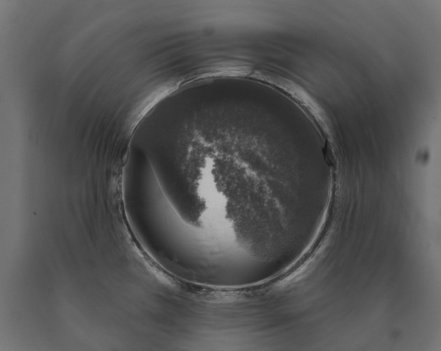 X0000090441385200708031143