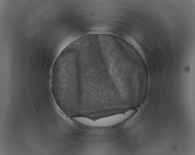 X0000090441386200708031143