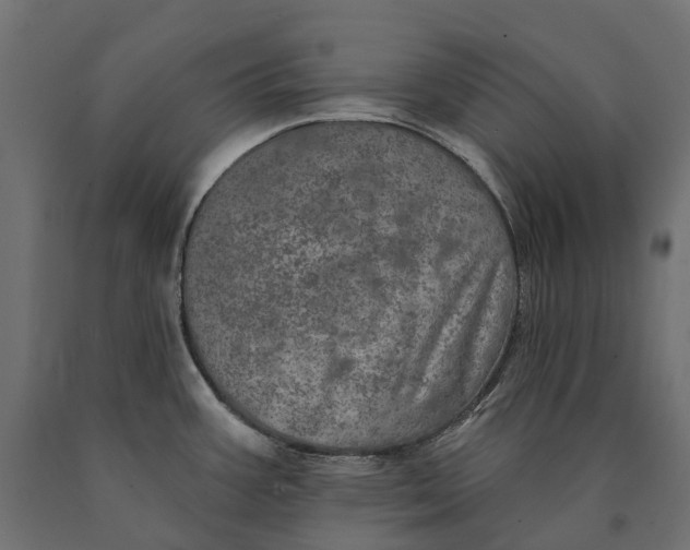 X0000090441387200708031143