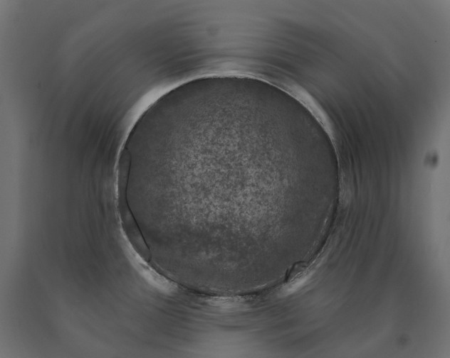 X0000090441388200708031143