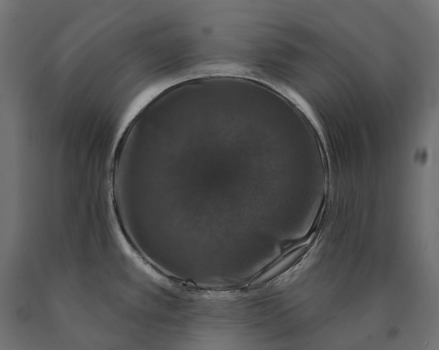 X0000090441389200708031143