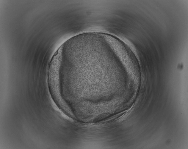 X0000090441390200708031143