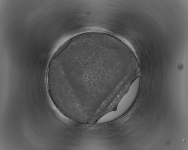 X0000090441391200708031143