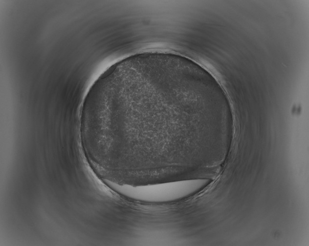 X0000090441392200708031143