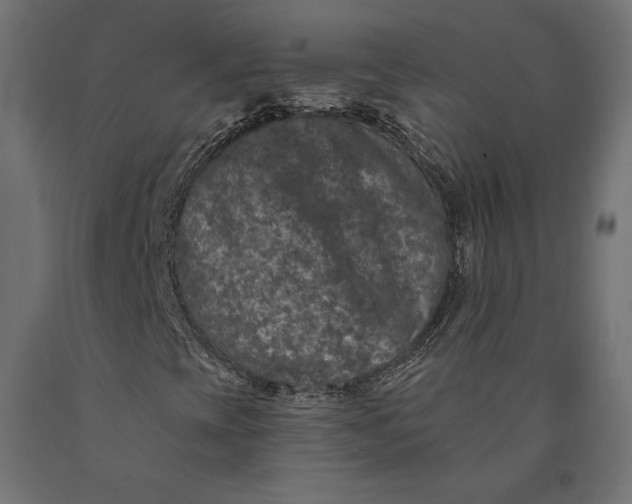 X0000090441393200708031142