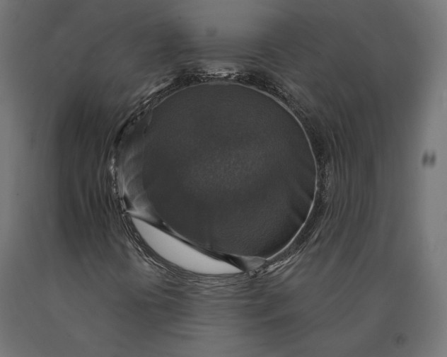 X0000090441394200708031142