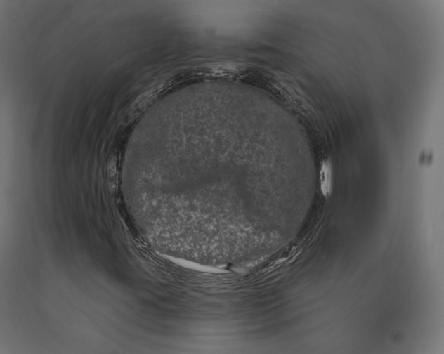 X0000090441395200708031142