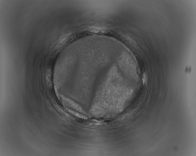 X0000090441396200708031142