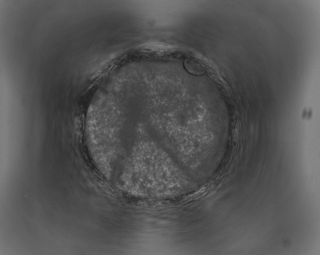 X0000090441397200708031142