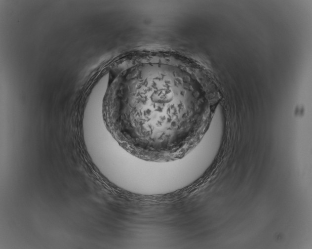 X0000090441398200708031142