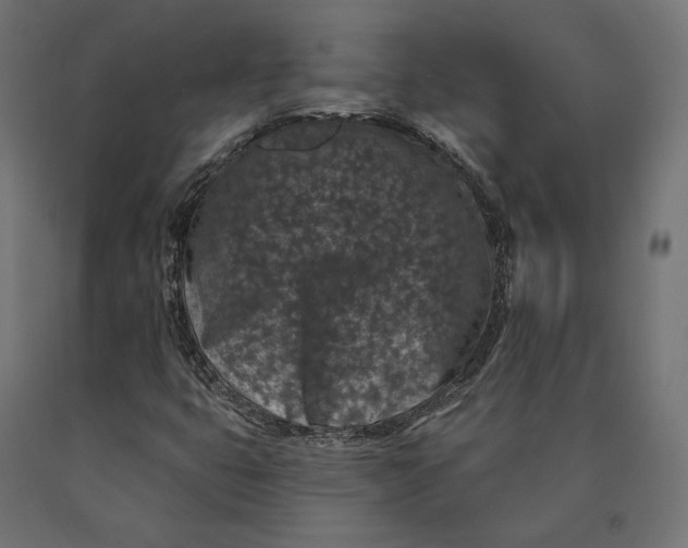 X0000090441399200708031142