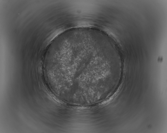 X0000090441401200708031142