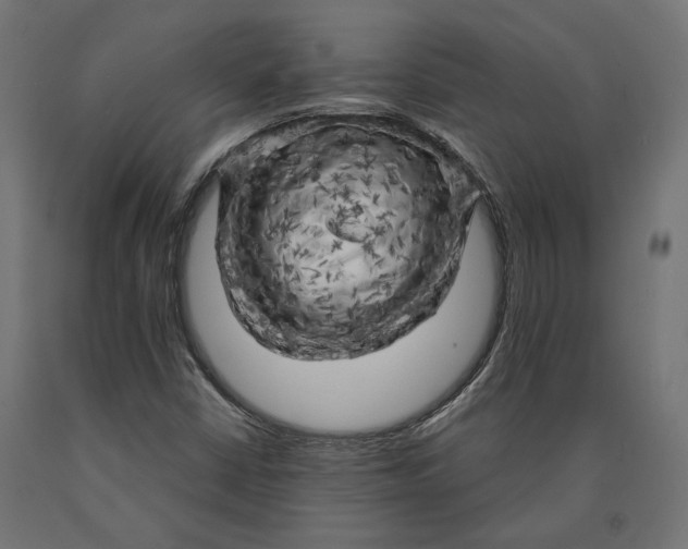 X0000090441402200708031142