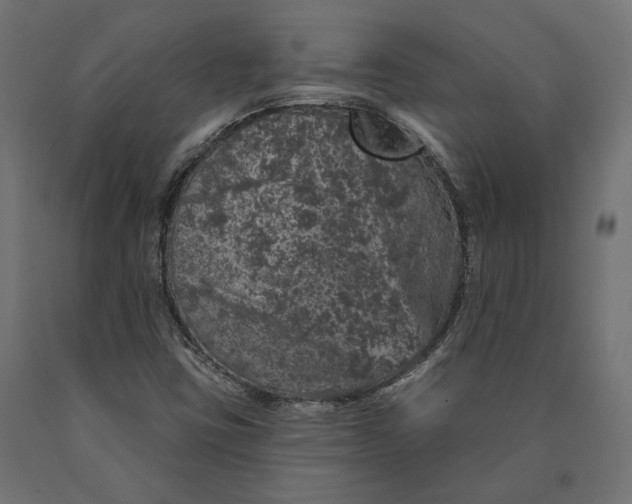 X0000090441403200708031142