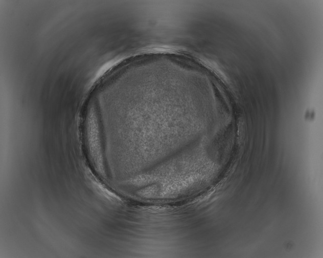 X0000090441404200708031142