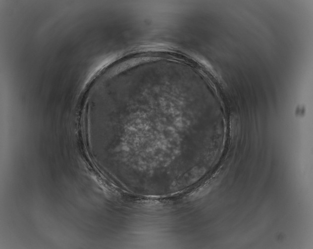 X0000090441405200708031142