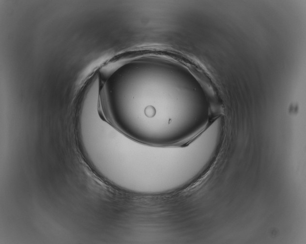 X0000090441406200708031142