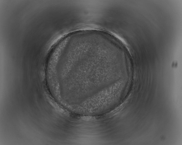 X0000090441407200708031142