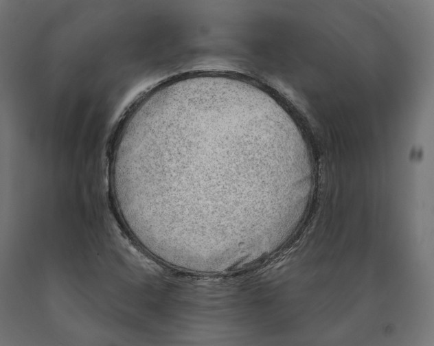 X0000090441408200708031142