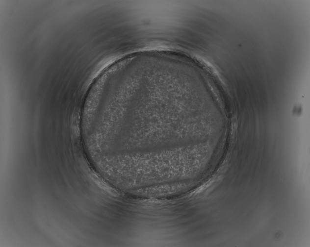 X0000090441409200708031142