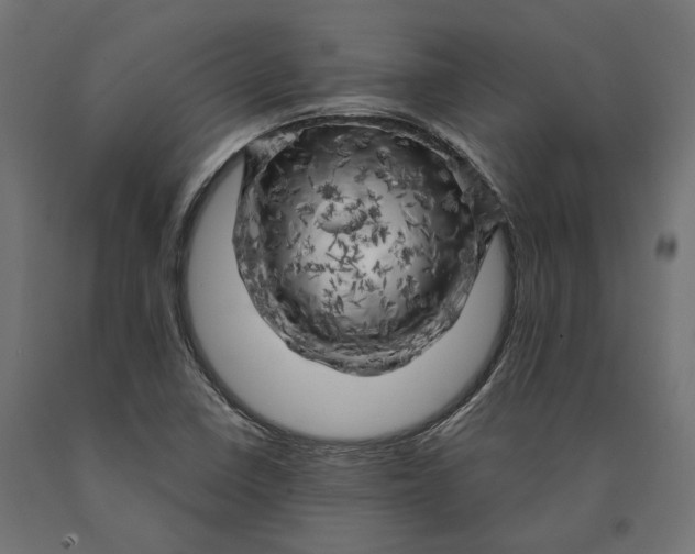 X0000090441410200708031142