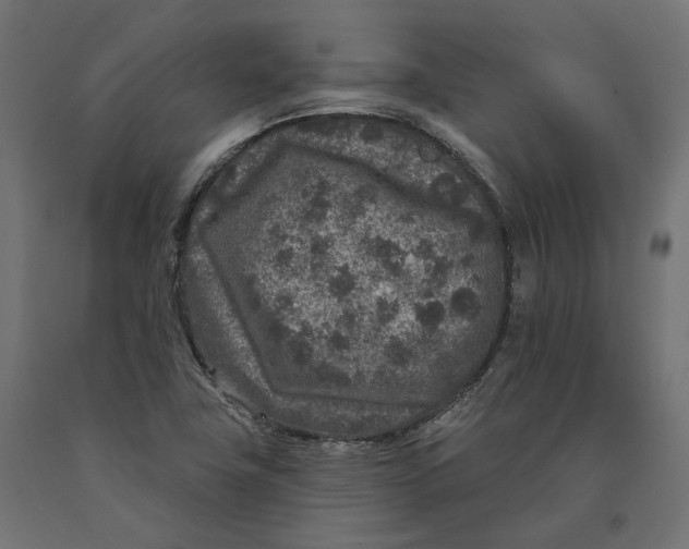 X0000090441411200708031142