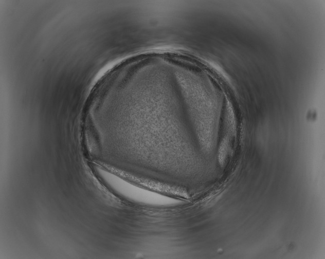 X0000090441412200708031142