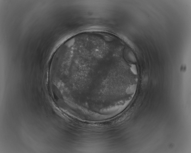 X0000090441413200708031142