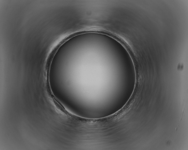 X0000090441414200708031142