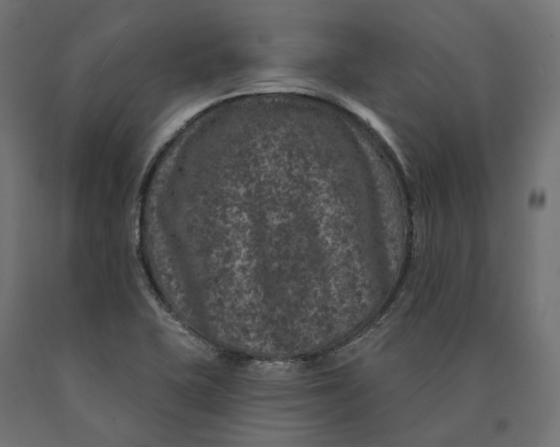 X0000090441415200708031142