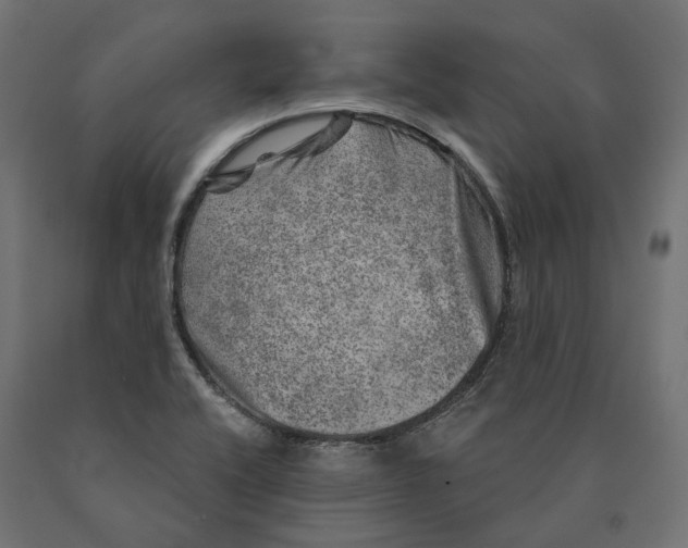 X0000090441416200708031142