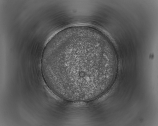 X0000090441417200708031142