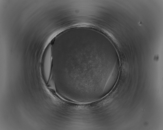 X0000090441418200708031142